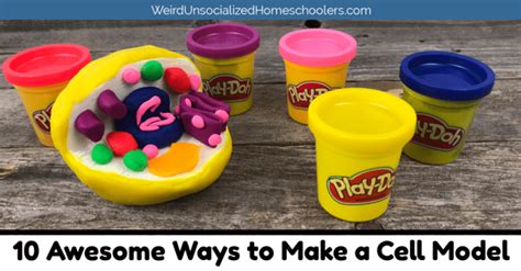 Our products are durable, reliable, and. 10 Awesome Ways to Make a Cell Model - Weird, Unsocialized ...