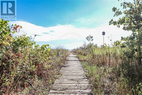 Beautiful rondeau park cottage in excellent overall condition. 17238 LAKESHORE ROAD Rondeau Park, Ontario | Houses for ...