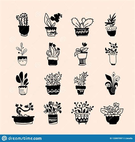 Cute Pots With Blloming Housplants And Cactus Hand Drawn Vector
