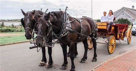 Mothers Day Horse Drawn Carriage Rides 2023 Harbor View Hotel