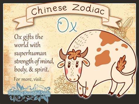 Chinese Zodiac Ox Child Personality And Traits Chinese Zodiac For Kids