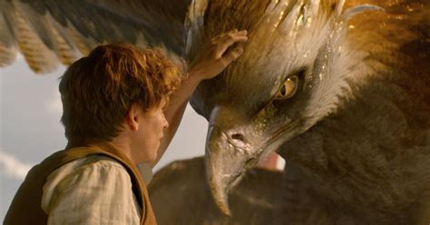 Meet The Creatures Of ‘fantastic Beasts And Where To Find Them Ny