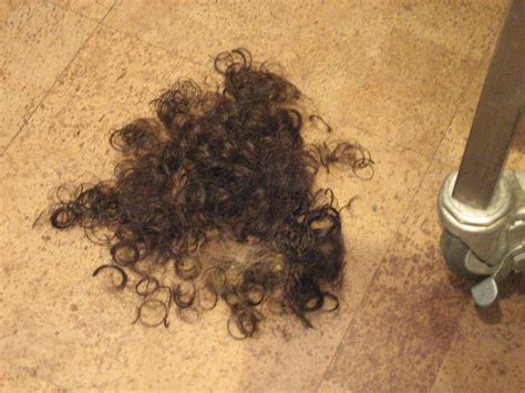 Natural aging is one of the most common causes of gray pubic hair. My hair on the floor at the hair salon | Saturday ...