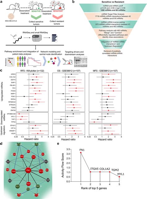 Constructing Mirna Mrna Interaction Network Of Tnbc Chemoresistance A