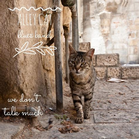 Alley Cat Blues Band Spotify