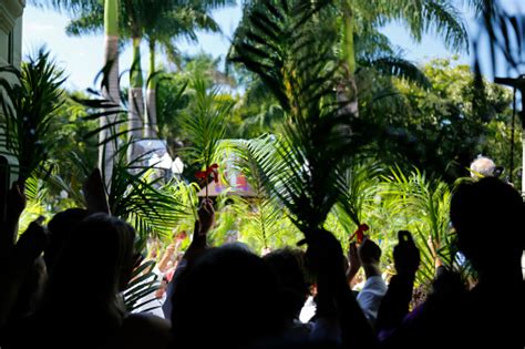 Holy Week Palm Sunday Stock Photo Download Image Now