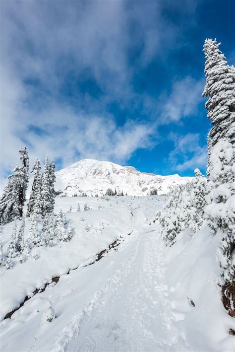 A Path Cover With Snow In Paradise Areascenic View Of Mt Rainier