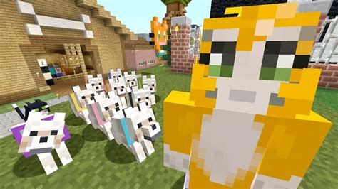 Stampys Lovely World Dogs Stampylongnose Wiki Fandom