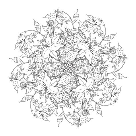 In bianco e nero fotografia. Mazzo Dei Fiori Nei Colori In Bianco E Nero, Illustratio ...