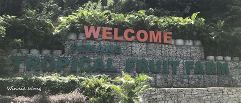 Tropical Fruit Farm - largest collection of fruits in Southeast Asia