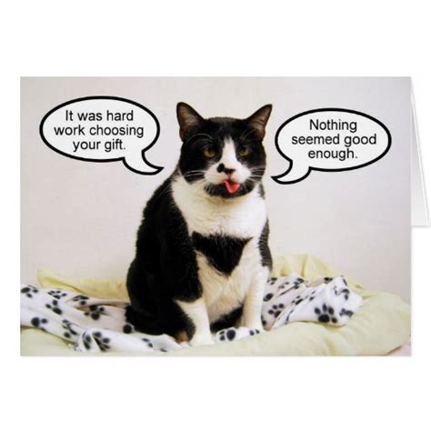Tuxedo Cat Birthday Humor Card Zazzle