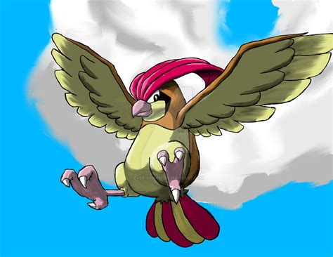 Pidgeotto By Ever Knight On Deviantart