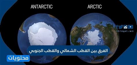 الفرق بين القطب الشمالي والقطب الجنوبي الفرق بين القطب الشمالي والقطب الجنوبي موقع محتويات