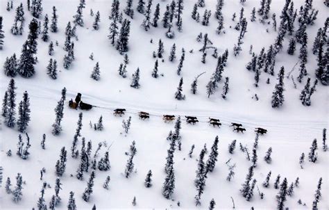 Iditarod Looks For Relevance As Race Across Alaska Starts Woai