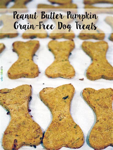 Grain free dog treat recipes. Easy homemade peanut butter pumpkin grain-free dog treats