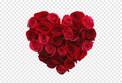 Rosa Vermelha Em Forma De Coração Flores Buquê Png Pngegg