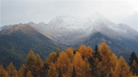 Landscape View Of Snow Covered Mountains With Fall Fog Forest 4k 5k Hd