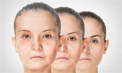 Aging Process Rejuvenation Anti Aging Skin Procedures Bioptimizers