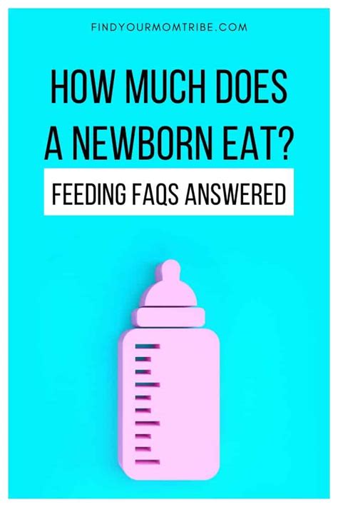 How Much Does A Newborn Eat Feeding Faqs Answered