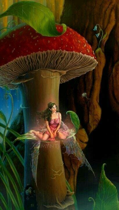 Mushroom Fairy Fairies Photos Fairy Art Fairy Pictures