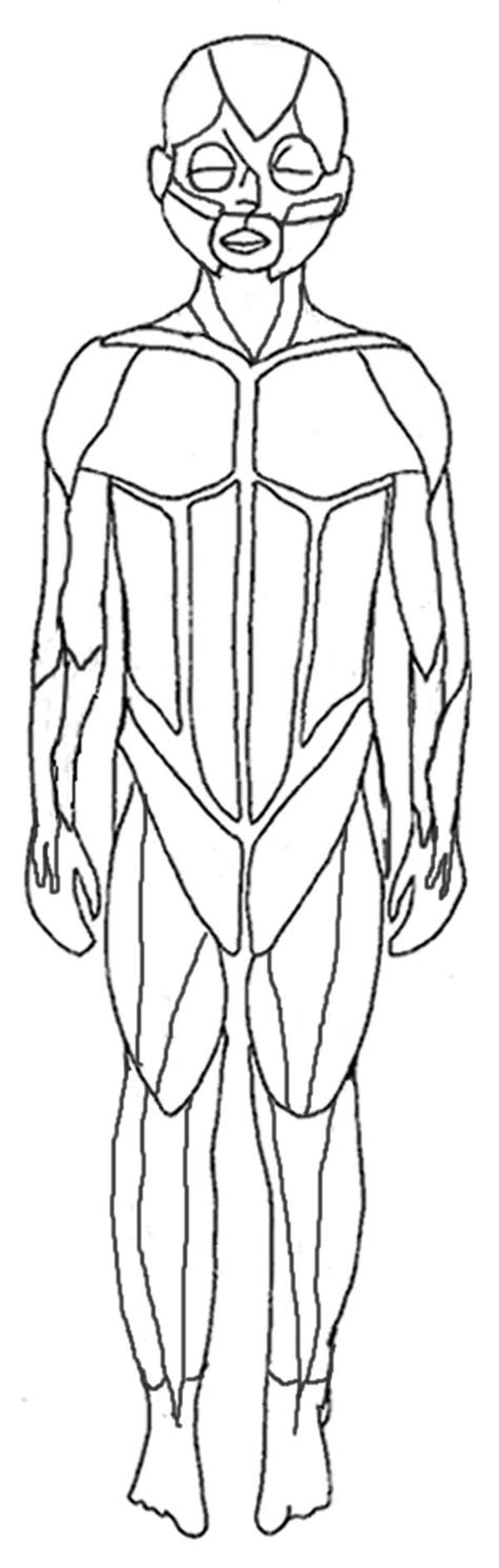 Muscular System Coloring Pages Free Food Ideas