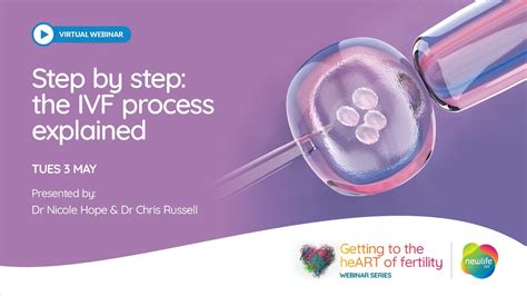 Step By Step The Ivf Process Explained Youtube