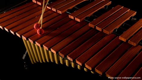 interesting facts about the xylophone just fun facts