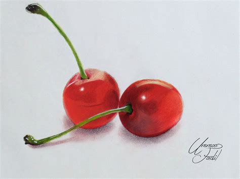 Drawing Fruits 1 Cherries Colored Pencils By F A D I L On