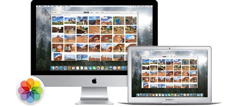 How To Back Up Your Photos Library On A Mac Tech Experts