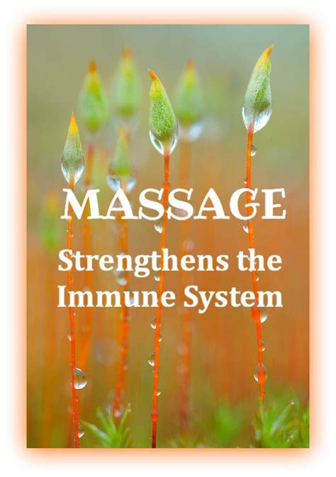 Massage Strengthens The Immune System Wellness Massage Massage Envy Massage Tips Massage