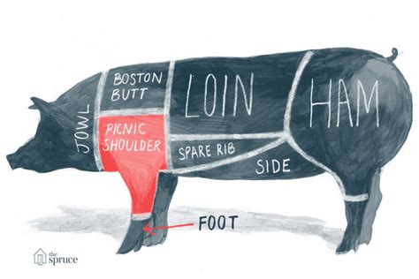 Diagrama Y Tabla De Cortes De Carne De Cerdo