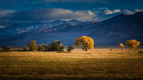 Autumn Meadow Wallpapers Wallpaper Cave