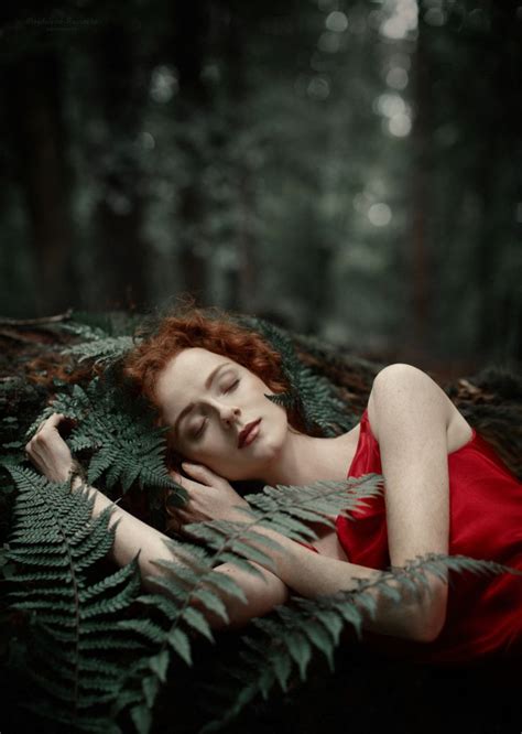 Fotografía Forest Lullaby Por Magdalena Russocka En 500px Nature