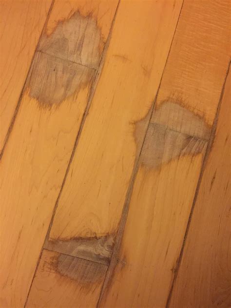 Repair How Can I Cover Up Wood Floor Stain Spill Damage Home
