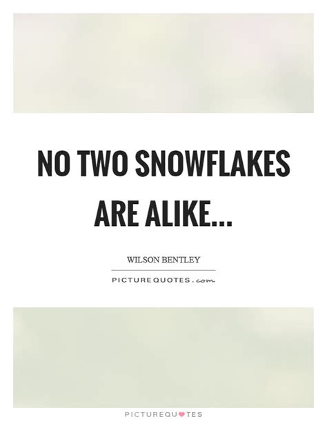 No Two Snowflakes Are Alike Quote Pain Point Archives Your Organized