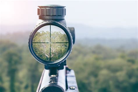 How To Choose A Rifle Scope The Essential Guide