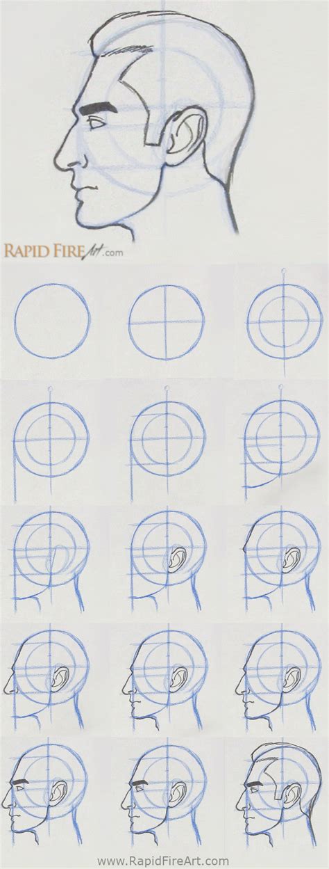 Learn The Loomis Method To Draw Faces From The Side Any Angle By