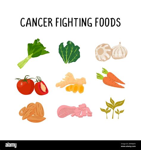 Cancer Fighting Foods Vector Illustration Healthy Fruit And Vegetables