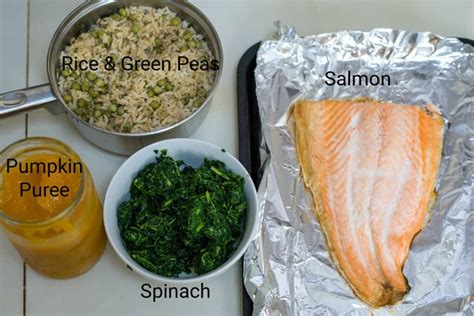 Salmon Dog Food Recipe With Spinach And Pumpkin Pawsome Recipes