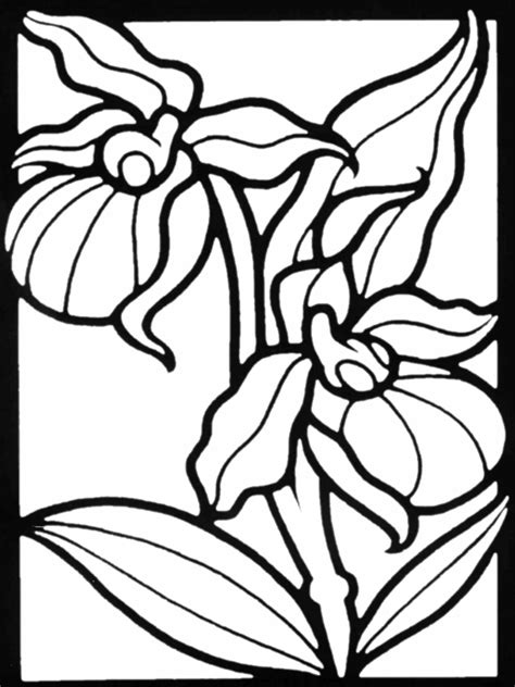 flower coloring pages iris flowers