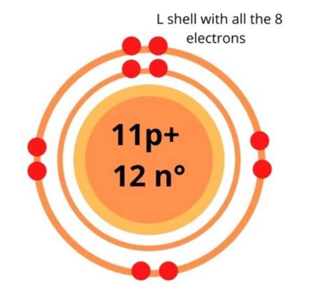 sodium bohr model — diagram steps to draw techiescientist
