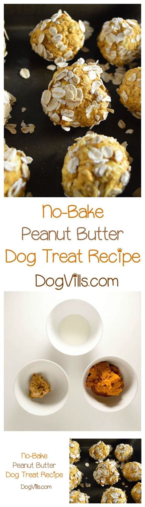 No Bake Peanut Butter Dog Treat