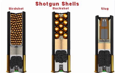 Best Home Defense Shotgun Ammo 12 Gauge And 20 Gauge Shells