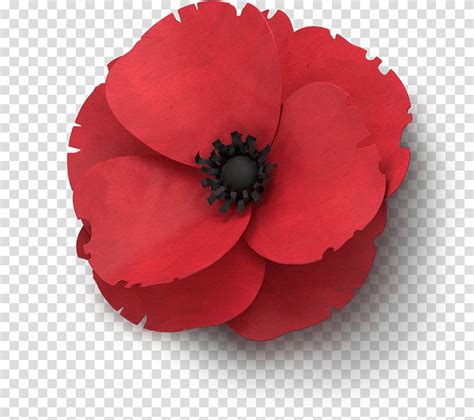 Remembrance Poppy Flower In Flanders Fields Armistice Day Poppies