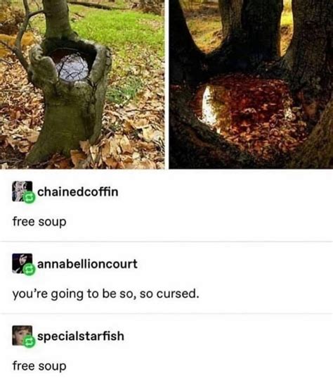 Keto meal plan 28 days: Free Soup Is Good Soup | Memes, Hilarious, Funny memes