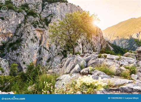 Rocky Dinara Mountains Scenic View Croatia Stock Image Image Of