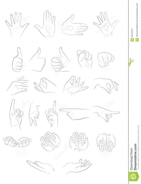 The Different Positions Of The Hands Stock Vector Illustration Of