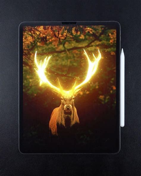 Procreate Photo Manipulation Glowing Deer Video In 2021 Digital