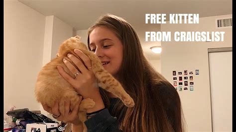 Craigslist has listings for pets in the atlanta, ga area. I GOT A KITTEN FOR FREE ON CRAIGSLIST - YouTube
