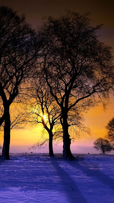 Winter Sunset Hd Wallpaper 50 Images